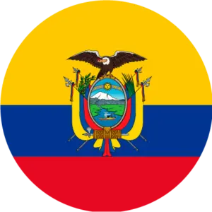 Flag 4