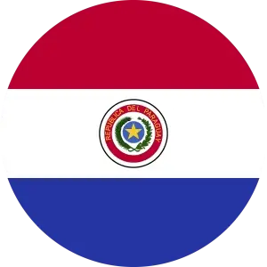 Flag 6